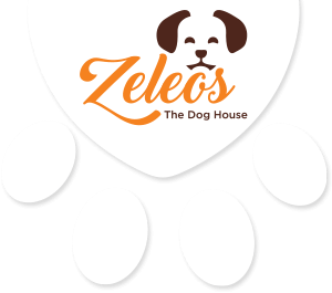 Zeleos - The Dog Hostel