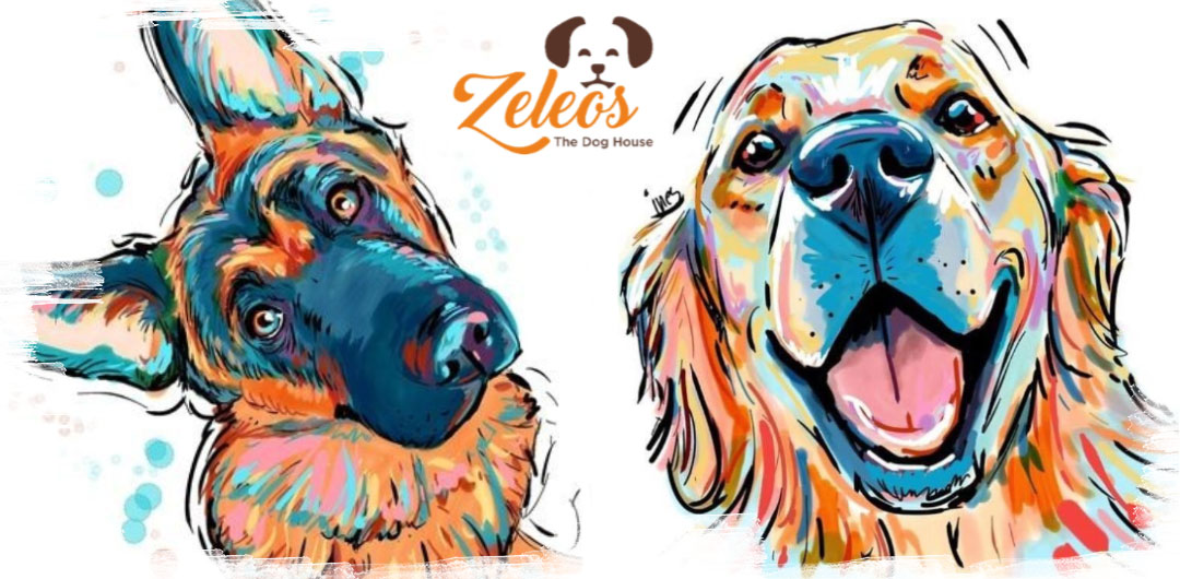 Our Story - Zeleos - The Dog Hostel